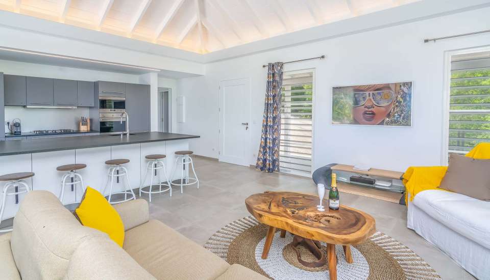 Villa-loiseaubleu-StBarth-10